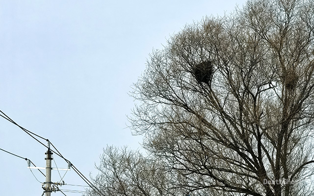 回家，是一场与回忆的久别重逢。